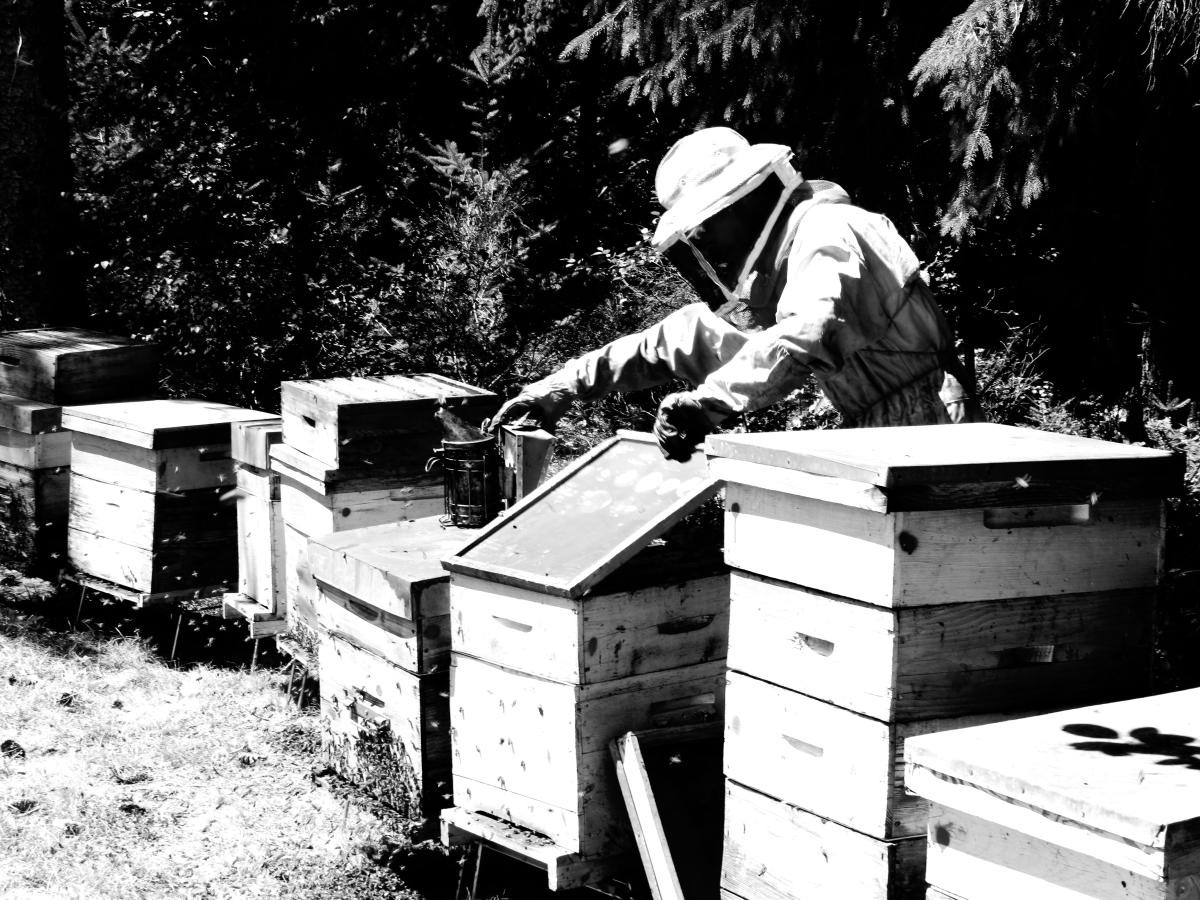 La Butinerie du Pré-Battoir