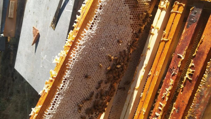 img_20220805_090433-1