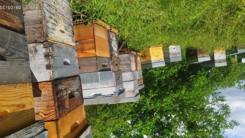 img_20230508_105311-1