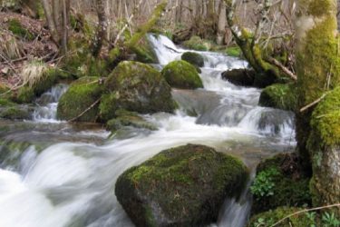 sentier_moulin_A.GEOURJON2_800