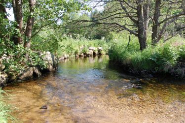 Parcabout Alti'Fil , filets dans les arbres, Pilat, Loire, 42- Alti'fil