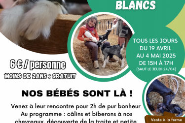 Un Printemps à la Ferme des Pommeaux Blancs_La Versanne