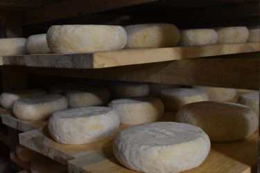 Sortie découverte « Ferme du Chant des Cloches » à Montchal – Burdignes_Bourg-Argental