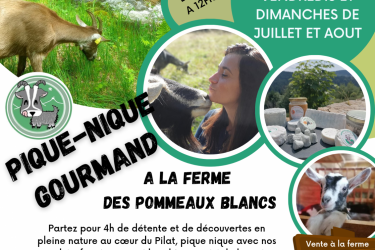 Pique-nique à la Ferme des Pommeaux Blancs_La Versanne