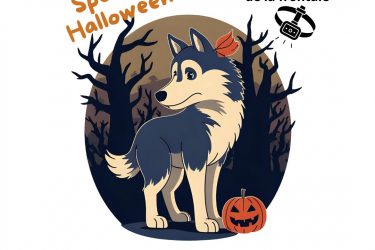 Canirandonnées nocturnes de Kimudjuk_Saint-Régis-du-Coin