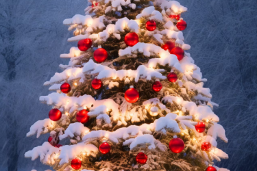 Illumination du sapin et animation_Saint-Romain-les-Atheux