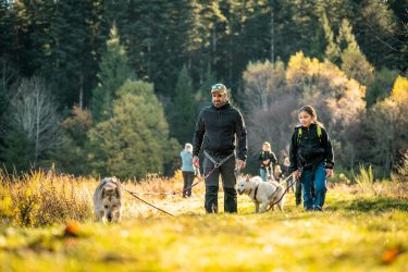 Hiver 2025/2026 – Bougez dans le Pilat – Cani-randonnée (à partir de 8 ans) – Saint-Régis-du-Coin_Saint-Régis-du-Coin
