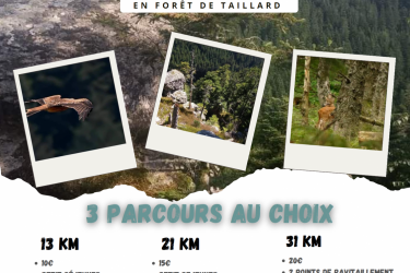 Sortie équestre « Beau dimanche en forêt de Taillard »_Burdignes