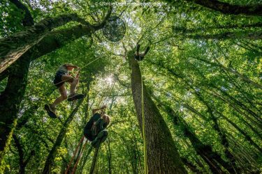 Accrobranche en terrain d&rsquo;aventure