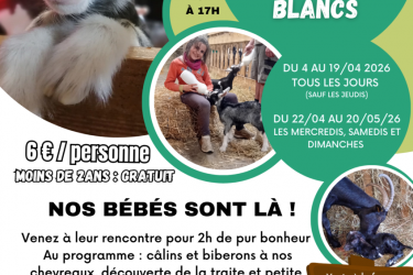 Un printemps à la Ferme des Pommeaux Blancs_La Versanne