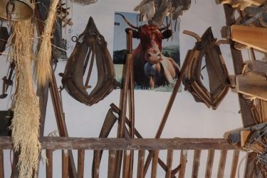Sortie découverte « La Ferme à l&rsquo;ancienne »_Bourg-Argental