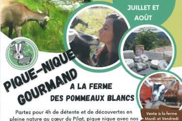Pique-nique Gourmand Fermier à la Ferme des Pommeaux Blancs_La Versanne