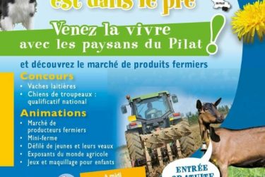 La fête est dans le pré