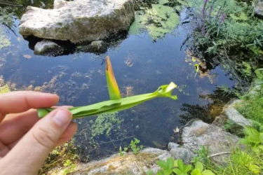 Les Ateliers des Babets : Au fil de l&rsquo;eau_Le Bessat