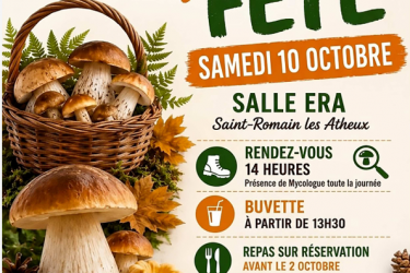 Champignons.png