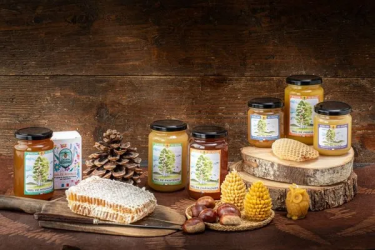 L&rsquo;Api&rsquo;week au Quart d&rsquo;Heure Paysan_Planfoy