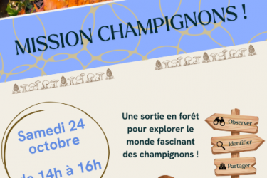 Sortie champignons_Marlhes