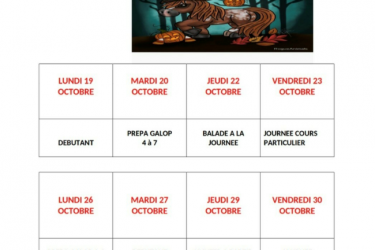 Animations au centre équestre_Planfoy