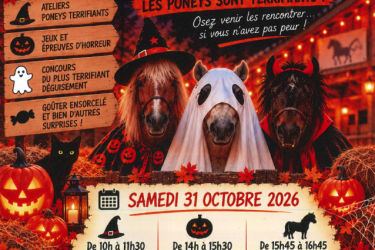 Halloween aux écuries flower_Marlhes