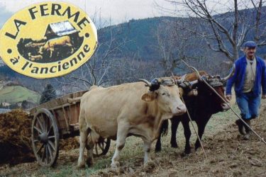 6528133-diaporama